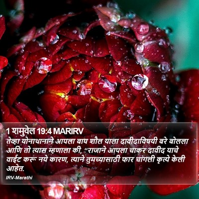 1 शमुवेल 19:4 MARIRV Bible Verse Image