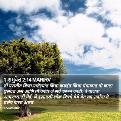 1 शमुवेल 2:14 MARIRV Bible Verse Image