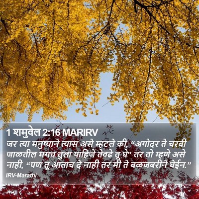 1 शमुवेल 2:16 MARIRV Bible Verse Image