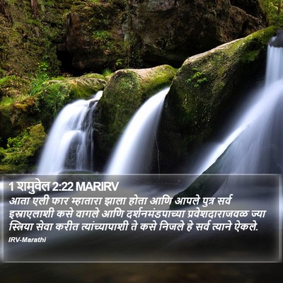 1 शमुवेल 2:22 MARIRV Bible Verse Image