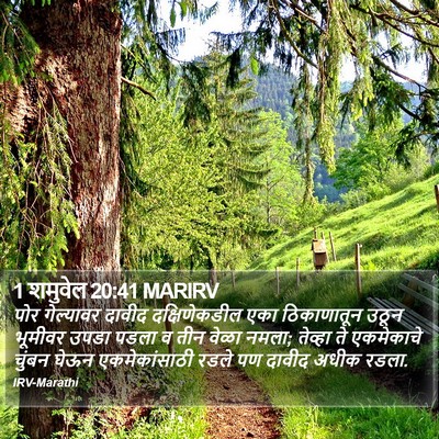 1 शमुवेल 20:41 MARIRV Bible Verse Image