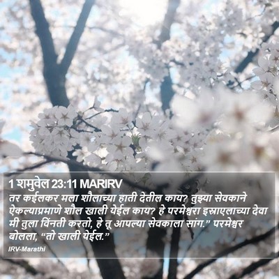 1 शमुवेल 23:11 MARIRV Bible Verse Image
