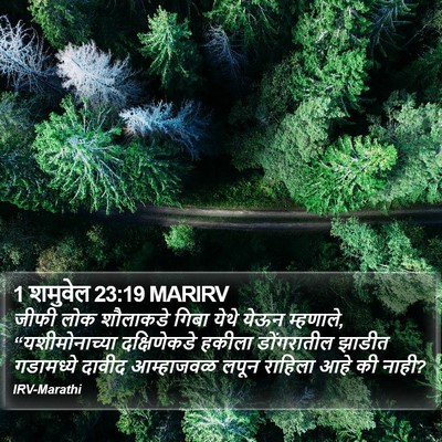 1 शमुवेल 23:19 MARIRV Bible Verse Image