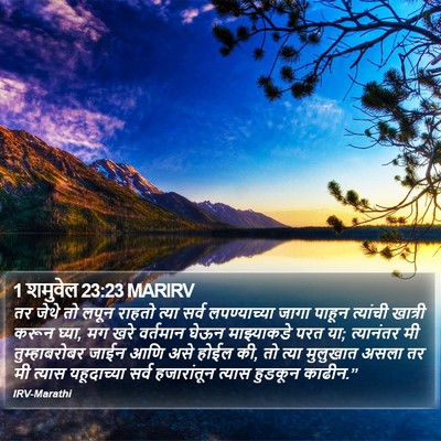 1 शमुवेल 23:23 MARIRV Bible Verse Image