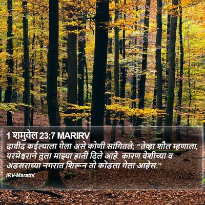 1 शमुवेल 23:7 MARIRV Bible Verse Image