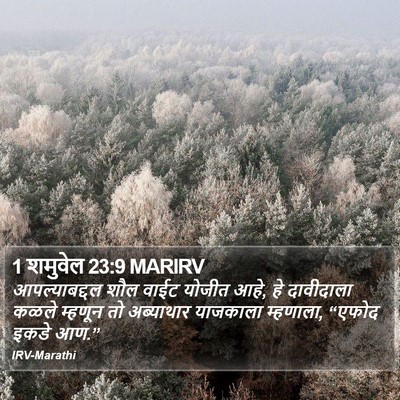 1 शमुवेल 23:9 MARIRV Bible Verse Image