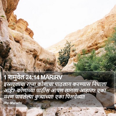 1 शमुवेल 24:14 MARIRV Bible Verse Image