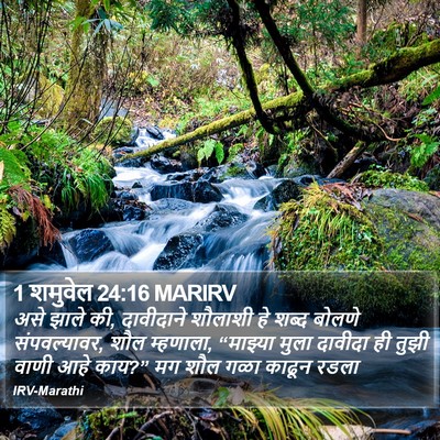 1 शमुवेल 24:16 MARIRV Bible Verse Image
