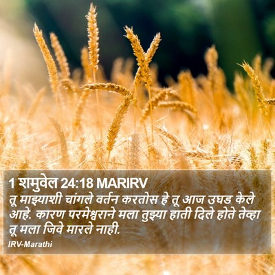1 शमुवेल 24:18 MARIRV Bible Verse Image