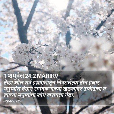 1 शमुवेल 24:2 MARIRV Bible Verse Image