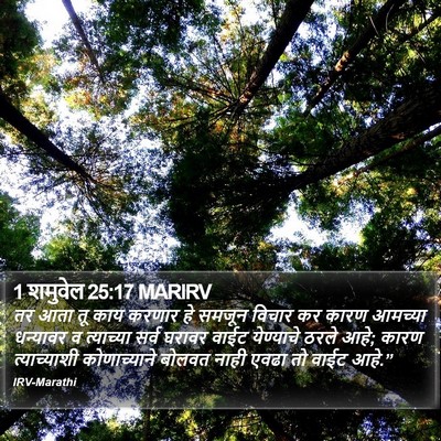 1 शमुवेल 25:17 MARIRV Bible Verse Image