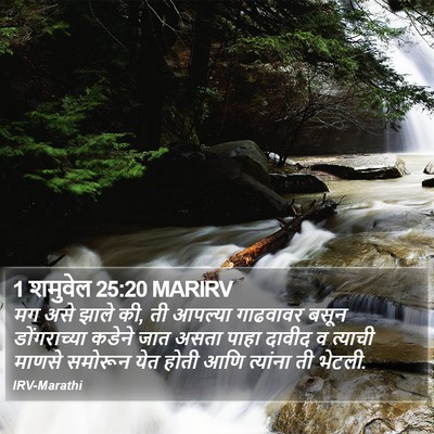 1 शमुवेल 25:20 MARIRV Bible Verse Image