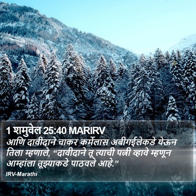 1 शमुवेल 25:40 MARIRV Bible Verse Image