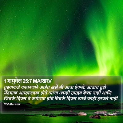 1 शमुवेल 25:7 MARIRV Bible Verse Image