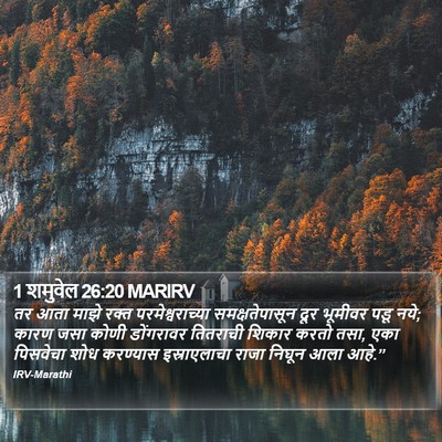 1 शमुवेल 26:20 MARIRV Bible Verse Image