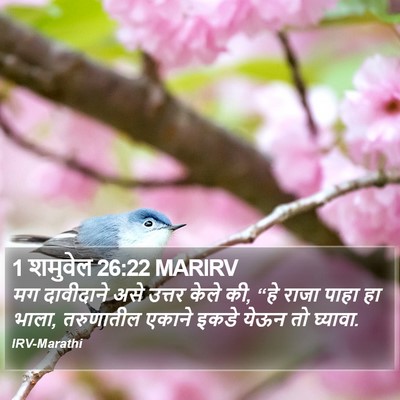 1 शमुवेल 26:22 MARIRV Bible Verse Image