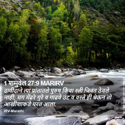 1 शमुवेल 27:9 MARIRV Bible Verse Image
