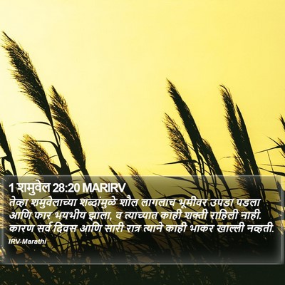 1 शमुवेल 28:20 MARIRV Bible Verse Image