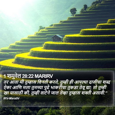 1 शमुवेल 28:22 MARIRV Bible Verse Image