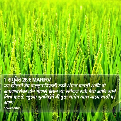 1 शमुवेल 28:8 MARIRV Bible Verse Image