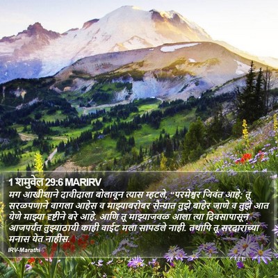 1 शमुवेल 29:6 MARIRV Bible Verse Image