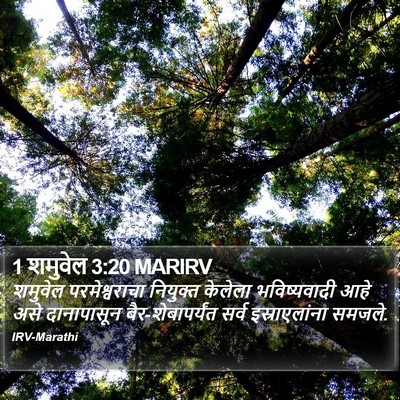1 शमुवेल 3:20 MARIRV Bible Verse Image