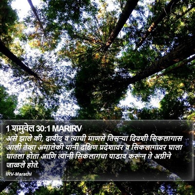1 शमुवेल 30:1 MARIRV Bible Verse Image