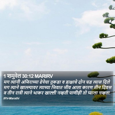 1 शमुवेल 30:12 MARIRV Bible Verse Image