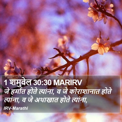 1 शमुवेल 30:30 MARIRV Bible Verse Image