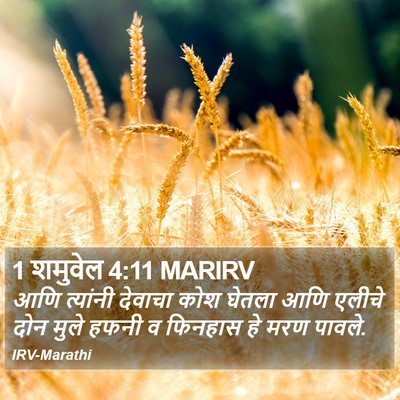 1 शमुवेल 4:11 MARIRV Bible Verse Image