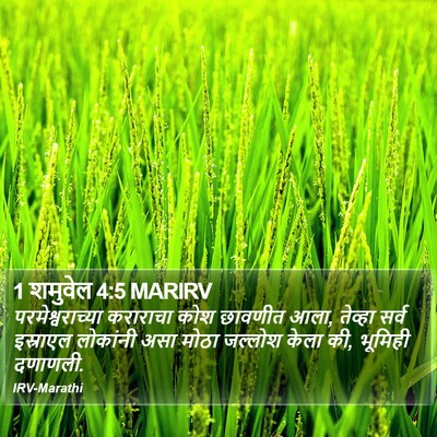 1 शमुवेल 4:5 MARIRV Bible Verse Image