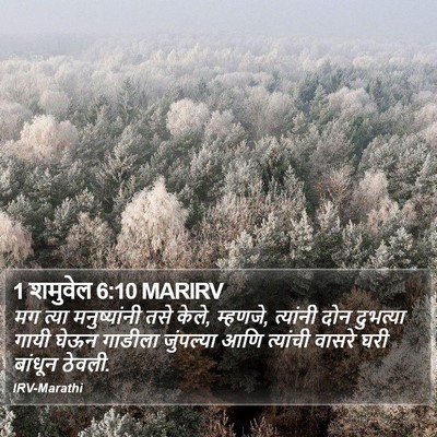1 शमुवेल 6:10 MARIRV Bible Verse Image