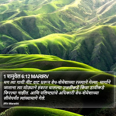 1 शमुवेल 6:12 MARIRV Bible Verse Image