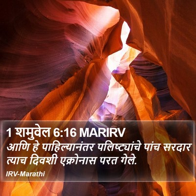1 शमुवेल 6:16 MARIRV Bible Verse Image