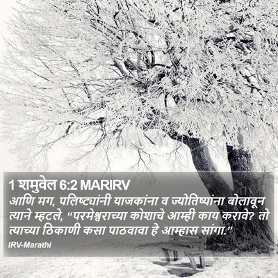 1 शमुवेल 6:2 MARIRV Bible Verse Image