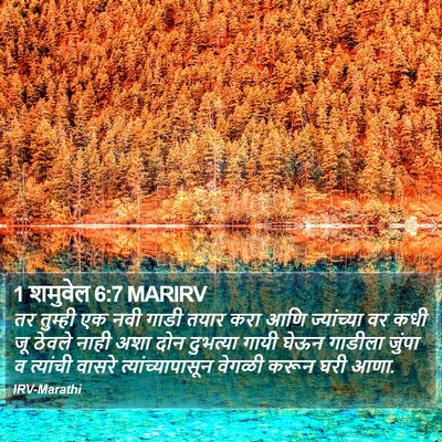 1 शमुवेल 6:7 MARIRV Bible Verse Image