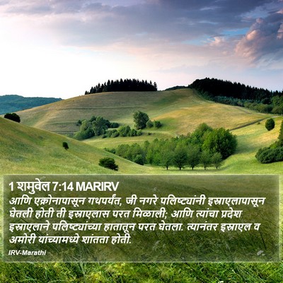 1 शमुवेल 7:14 MARIRV Bible Verse Image