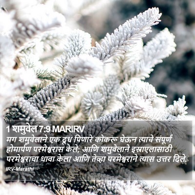 1 शमुवेल 7:9 MARIRV Bible Verse Image