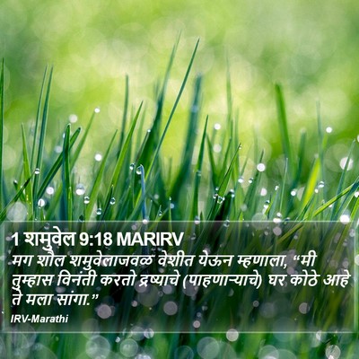 1 शमुवेल 9:18 MARIRV Bible Verse Image