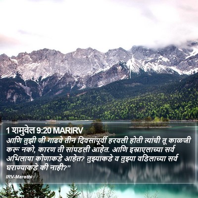 1 शमुवेल 9:20 MARIRV Bible Verse Image
