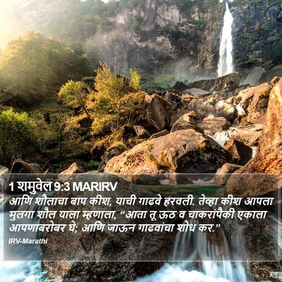1 शमुवेल 9:3 MARIRV Bible Verse Image