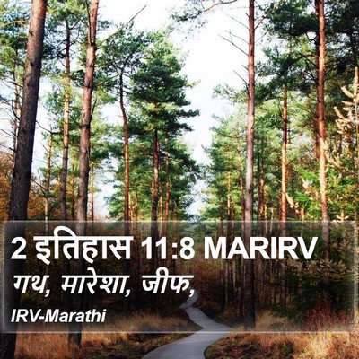2 इतिहास 11:8 MARIRV Bible Verse Image