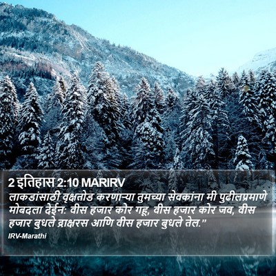 2 इतिहास 2:10 MARIRV Bible Verse Image