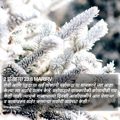 2 इतिहास 23:8 MARIRV Bible Verse Image