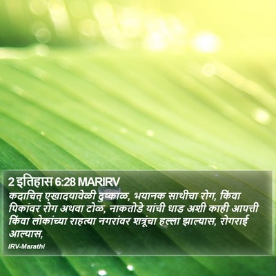 2 इतिहास 6:28 MARIRV Bible Verse Image