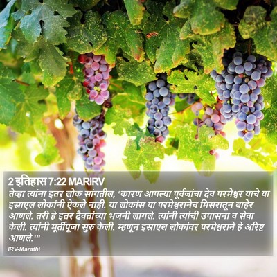 2 इतिहास 7:22 MARIRV Bible Verse Image