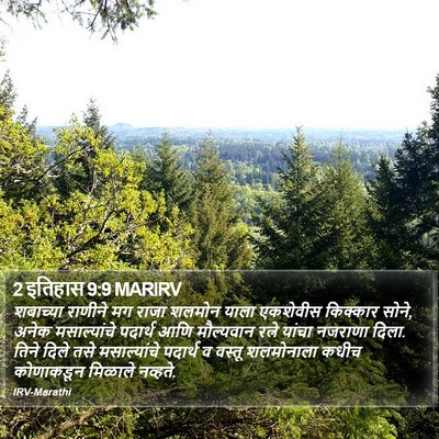 2 इतिहास 9:9 MARIRV Bible Verse Image