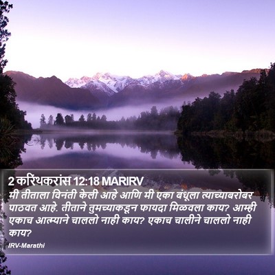 2 करिंथकरांस 12:18 MARIRV Bible Verse Image