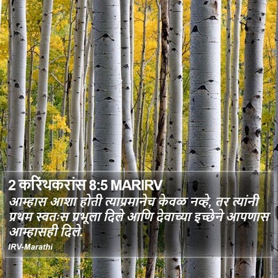 2 करिंथकरांस 8:5 MARIRV Bible Verse Image