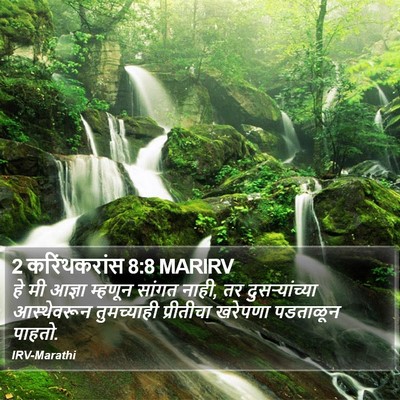 2 करिंथकरांस 8:8 MARIRV Bible Verse Image